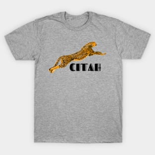 2023 new cheetah print T-shirt T-Shirt